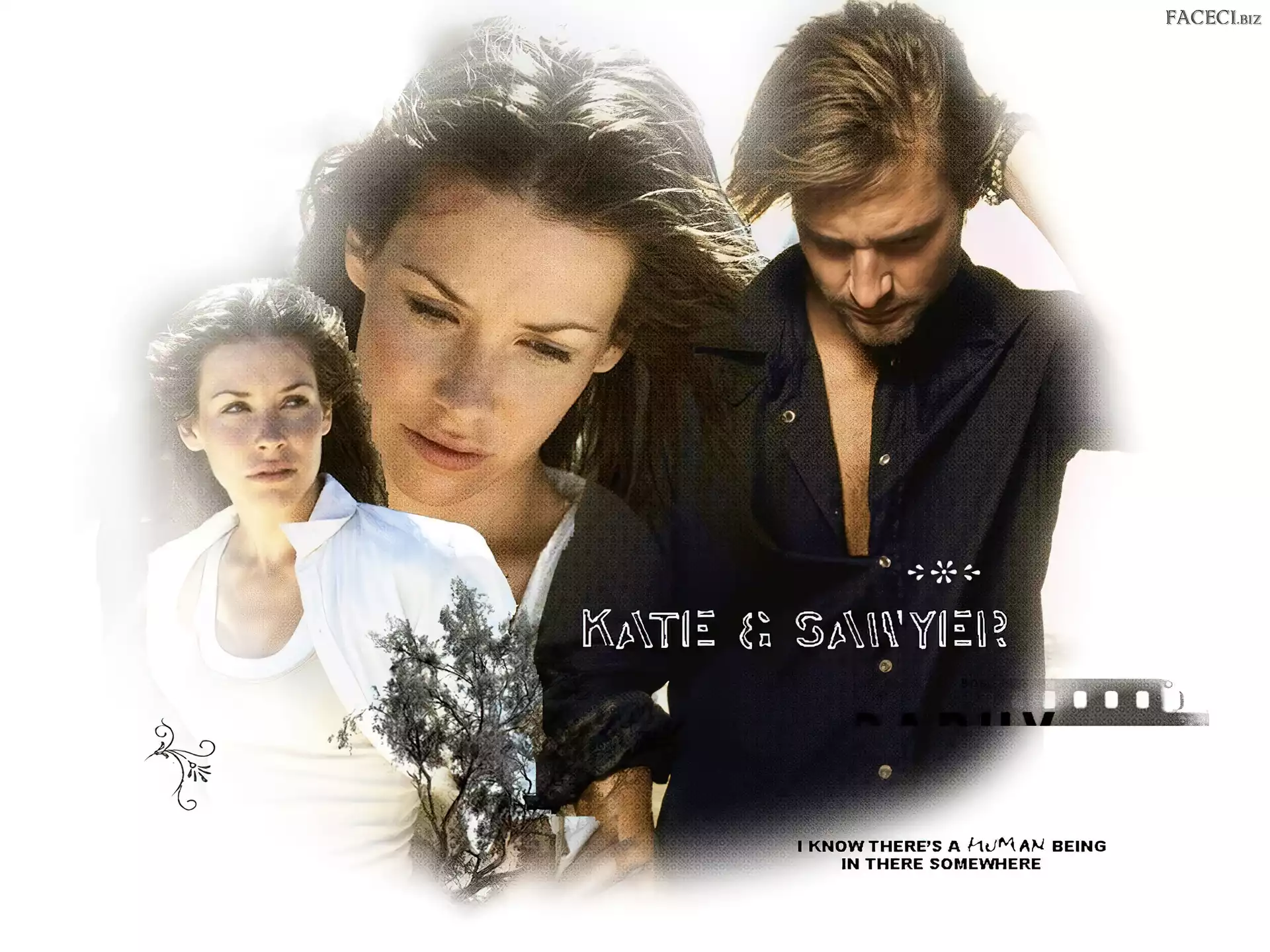 Evangeline Lilly, Zagubieni, Josh Holloway, Serial, Lost